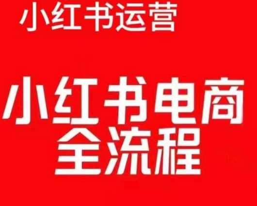 红薯电商实操课，小红书电商全流程-三玖社区