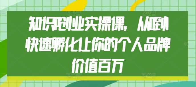 知识IP创业实操课，从0到1快速孵化让你的个人品牌价值百万-三玖社区