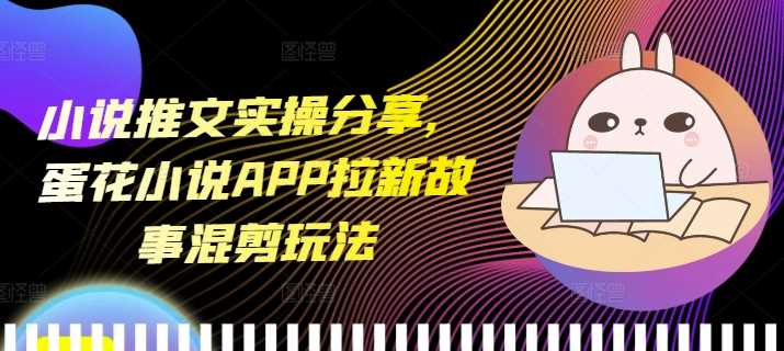 小说推文实操分享，蛋花小说APP拉新故事混剪玩法-三玖社区