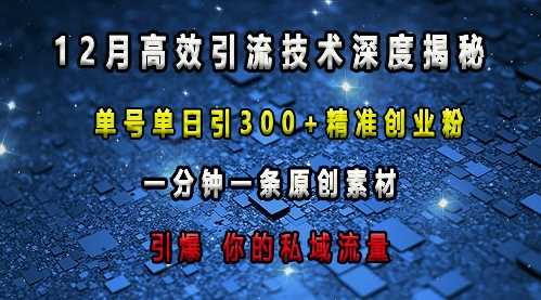 最新高效引流技术深度揭秘 ，单号单日引300+精准创业粉，一分钟一条原创素材，引爆你的私域流量-三玖社区