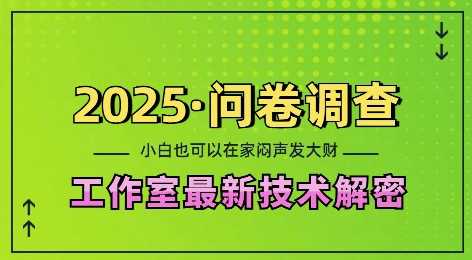 2025问卷调查最新工作室技术解密：一个人在家也可以闷声发大财，小白一天2张，可矩阵放大【揭秘】-三玖社区