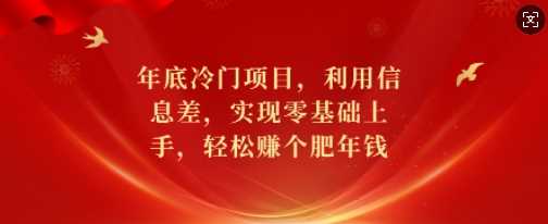 年底冷门项目，利用信息差，实现零基础上手，轻松赚个肥年钱【揭秘】-三玖社区