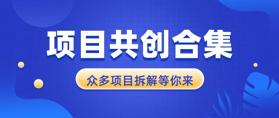 项目共创合集，从0-1全过程拆解，让你迅速找到适合自已的项目-三玖社区