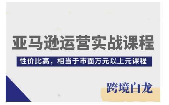 亚马逊运营实战课程，亚马逊从入门到精通，性价比高，相当于市面万元以上元课程-三玖社区