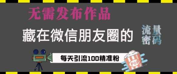 藏在微信朋友圈的流量密码，无需发布作品，单日引流100+精准创业粉【揭秘】-三玖社区