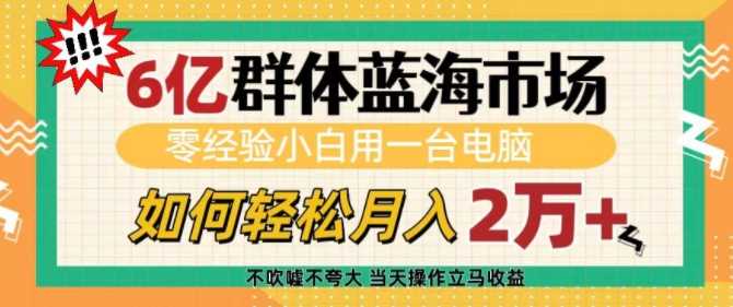 6亿群体蓝海市场，零经验小白用一台电脑，如何轻松月入过w【揭秘】-三玖社区