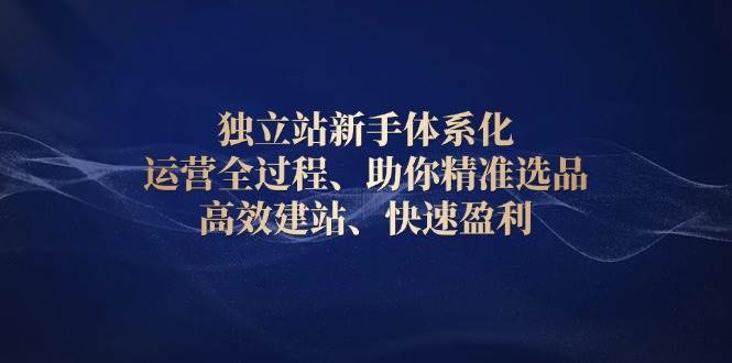 独立站新手体系化 运营全过程，助你精准选品、高效建站、快速盈利-三玖社区