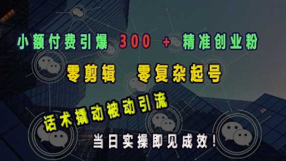 小额付费引爆 300 + 精准创业粉，零剪辑、零复杂起号，话术撬动被动引流，当日实操即见成效-三玖社区