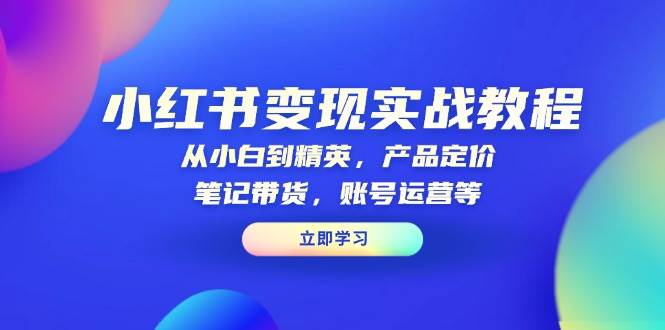 小红书变现实战教程：从小白到精英，产品定价，笔记带货，账号运营等-三玖社区