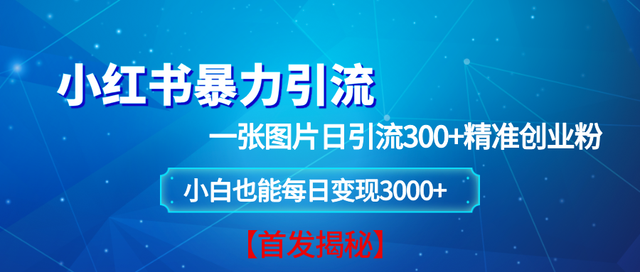 小红书暴力引流法，一张图片日引 300+精准创业粉，每日稳定变现 3000+【揭秘】-三玖社区