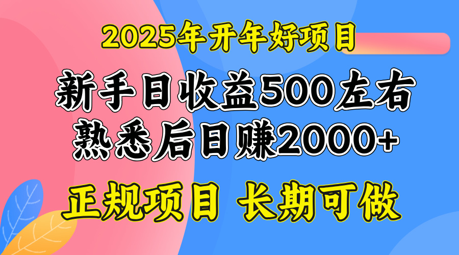2025开年好项目，单号日收益2000左右-三玖社区