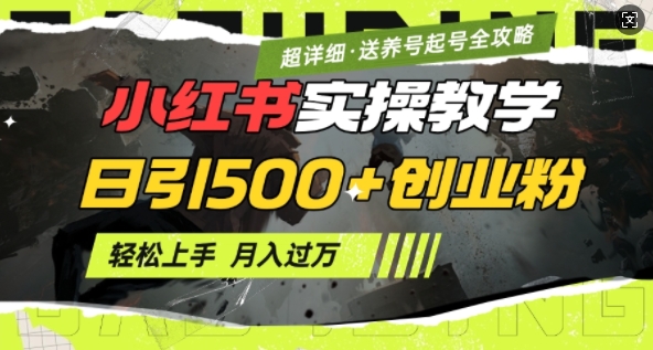 2月小红书最新日引500+创业粉实操教学【超详细】小白轻松上手，月入1W+，附小红书养号起号SOP-三玖社区