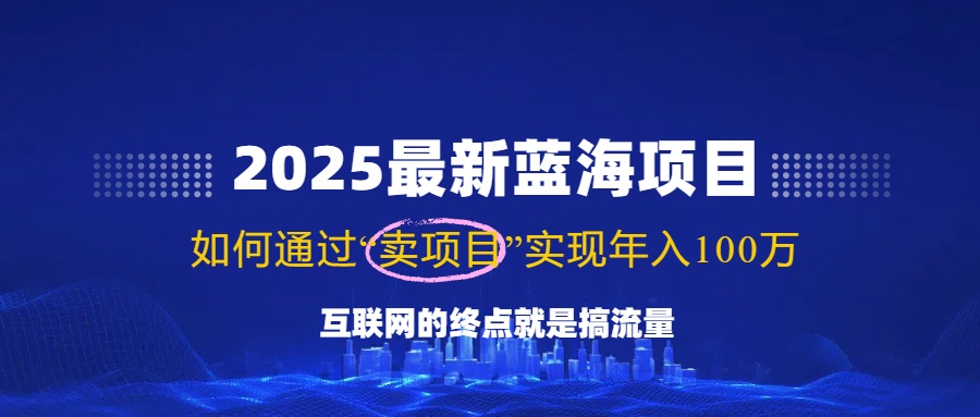 2025最新蓝海项目，零门槛轻松复制，月入10万+，新手也能操作！-三玖社区