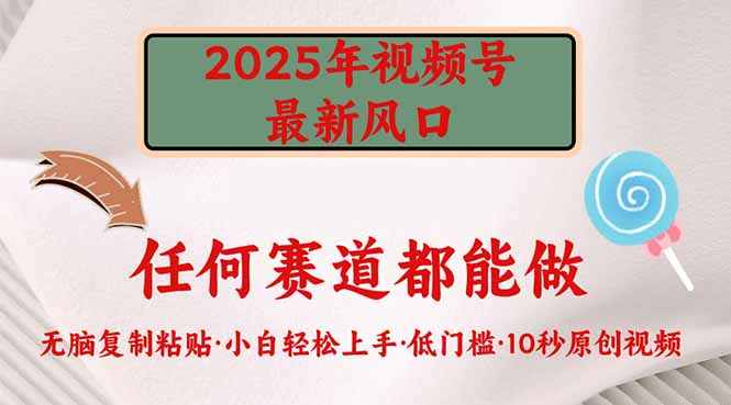 2025年视频号新风口，低门槛只需要无脑执行-三玖社区
