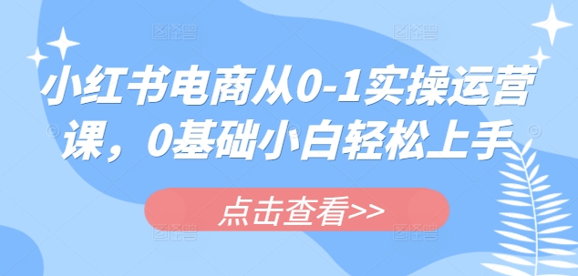 小红书电商从0-1实操运营课，0基础小白轻松上手-三玖社区