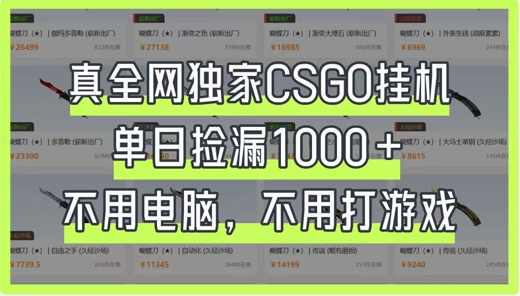 真全网独家CSGO挂机，单日捡漏1000+，不用电脑，不用养号-三玖社区