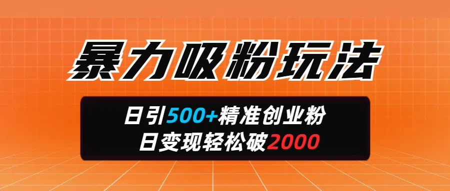 暴力吸粉玩法，日引500+精准创业粉，日变现轻松破2000-三玖社区