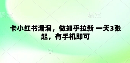 卡小红书漏洞，做知乎拉新 一天3张起，有手机即可-三玖社区