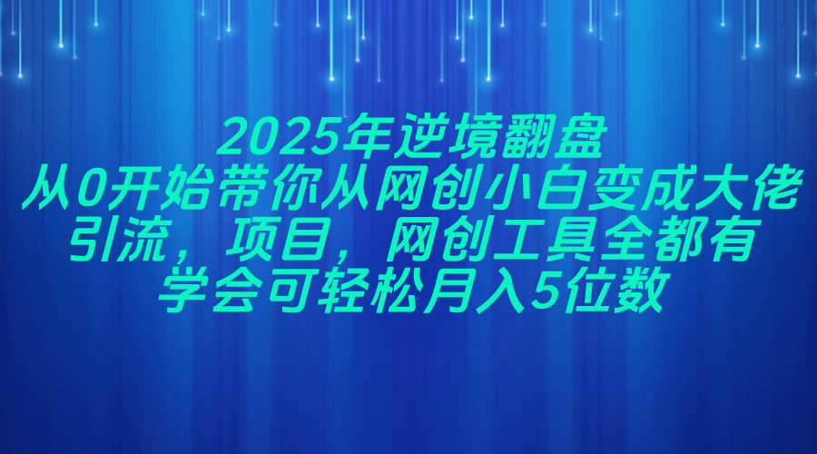 2025年逆境翻盘，从0开始带你从网创小白变成大佬，引流，项目，网创工…-三玖社区
