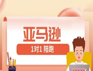 亚马逊1对1陪跑课(FBA/FBM精铺)跨境亚马逊教程-三玖社区