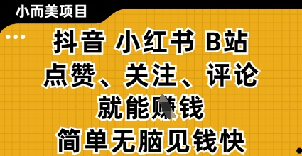 小而美的项目，抖音小红书B站视频点赞、关注、评论就能挣钱，简单无脑立见收益，妥妥的零撸项目【揭秘】-三玖社区