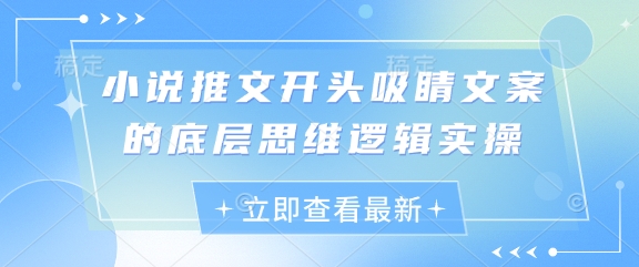 小说推文开头吸睛文案的底层思维逻辑实操-三玖社区
