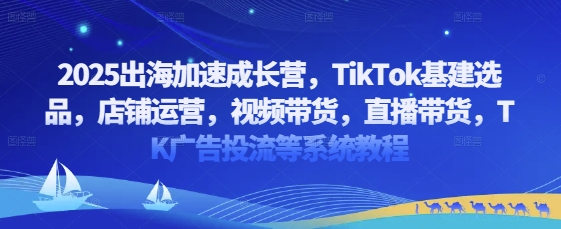 2025出海加速成长营，TikTok基建选品，店铺运营，视频带货，直播带货，TK广告投流等系统教程-三玖社区